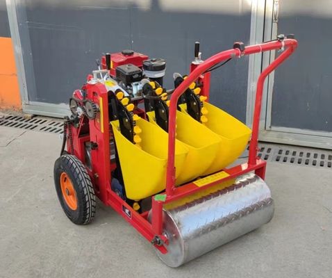 qualità  Hand push 3-6rows gasoline engine seed planting garlic planting machine gasoline garlic seeder planter fabbrica