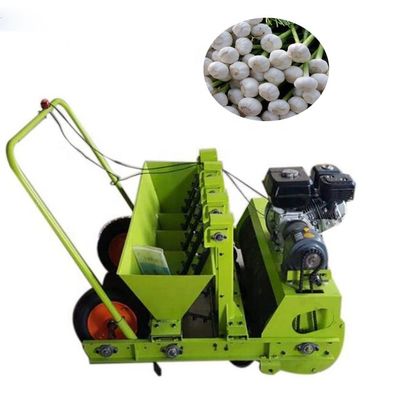 qualità  High quality seed planting machine garlic planter machine/automatic garlic planter fabbrica