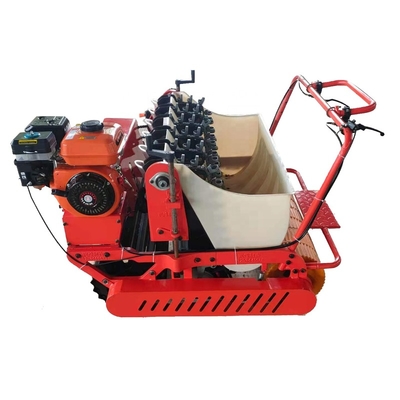 Wholesale Farm Tractor Seeder 6 Rows Planting New Type Precision Garlic Planter Machinery 2021 Machine